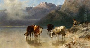 A Cowherd On The Banks Of Achen Lake