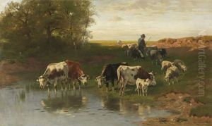Vieh Mit Hirte An Der Furt