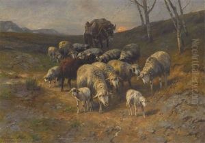 Hirte Mit Schafen Und Maultier Bei Mondaufgang