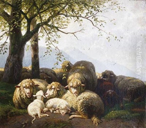 Moutons Au Repos - view 1