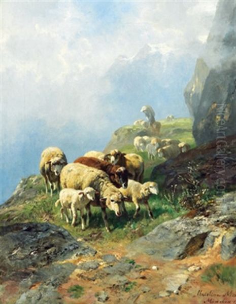 Schafherde Auf Der Alm - view 1