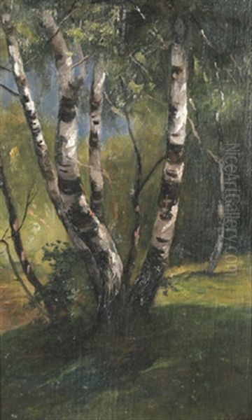 Birken Im Fruhling (study) - view 1