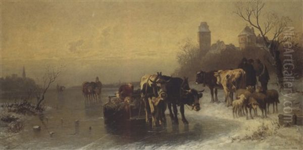 Rinder Und Schafe Auf Dem Eis - view 1