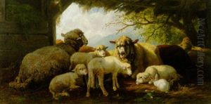 Schafe Im Stall by Christian Friedrich Mali