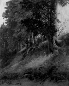 Blick Auf Eine Sonnenbeschienene Boschung Am Waldrand by Christian Friedrich Mali