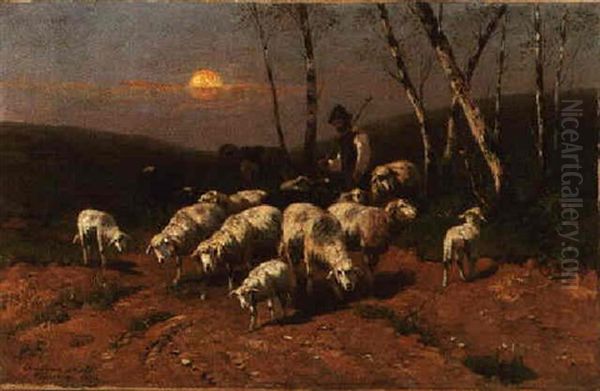 A Shepherd With His Flock At Sunset - view 1