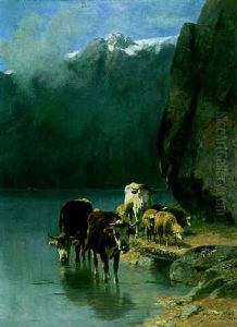 Herde Am Achensee