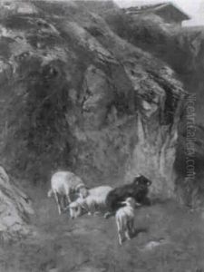 Schafe In Einer Schlucht Schafe In Einer Schlucht