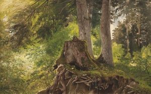 Waldinterieur Mit Blick Auf Einen Alten Baumstumpf