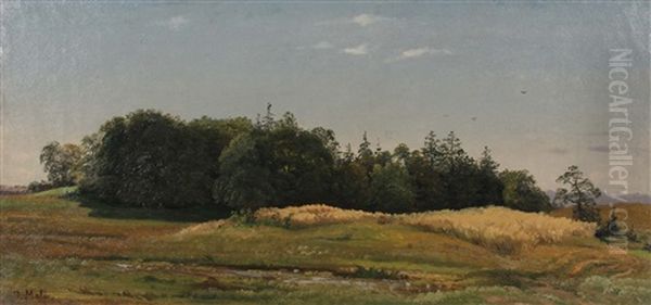 Sommerlandschaft Mit Einem Waldchen Zwischen Feldern Und Wiesen - view 1