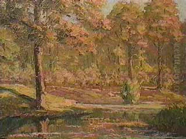 Foret Senart - view 1
