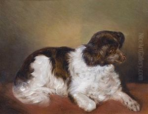A Liver And White Spaniel by Ferdinand Mallitsch