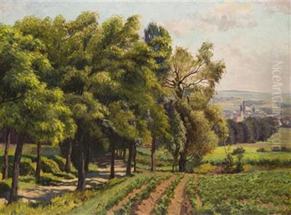 A View Of Domazlice - view 1