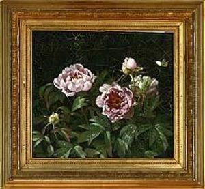 A Study Of Pink Peonies by Johan Frederik Bergsoe