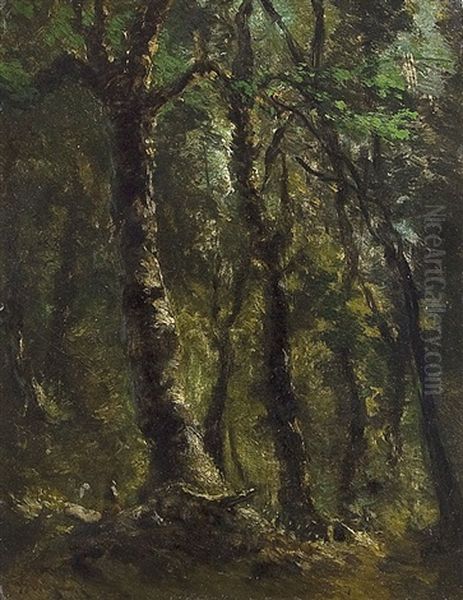Bosco - view 1