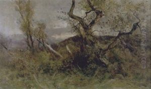 Paesaggio Con Alberi E Cespugli