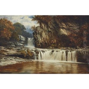 Falls In The Vale Of Meath by William Henry Mander