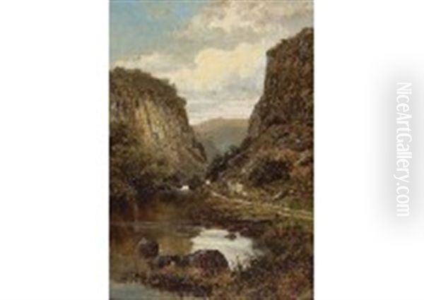 A Summer Day In Dovedale - view 1