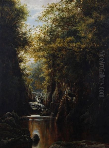 Autumn, In The Fairy Glen, Bettws-y-coed, North Wales - view 1