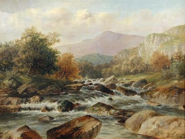 A View In The Lledr Valley, Wales - view 1