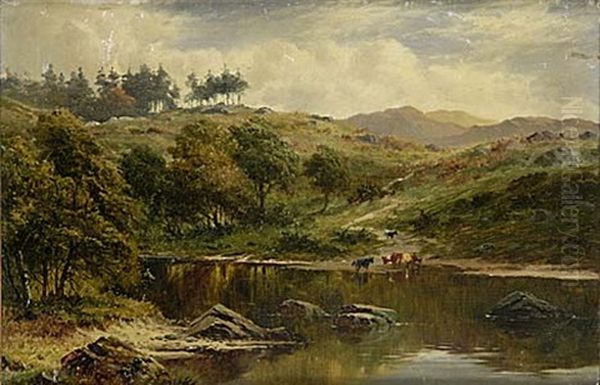 Kor I Boljande Landskap - view 1
