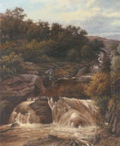 Cyfing Falls, Capel Curig - view 1