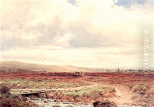 Crossing The Moor - view 1