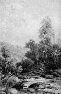 Near Dolgelley, North Wales by William Henry Mander
