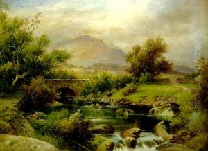 An Angler By A Pool