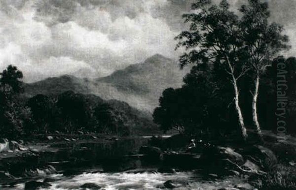 In The Mauddach Valley Near Dolgelly, North Wales - view 1