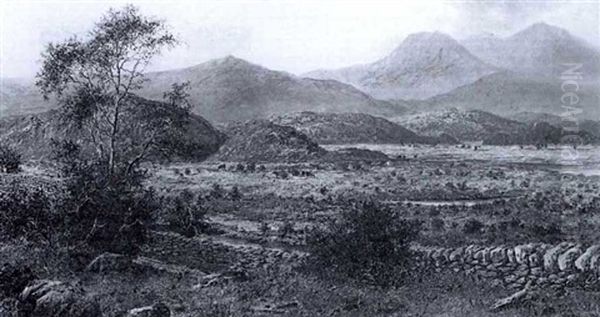 Scene Near Festinog, North Wales - view 1