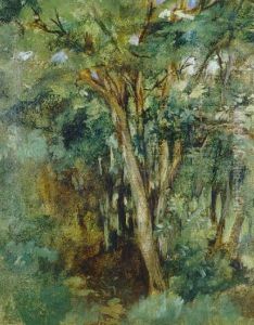 Troncs D'arbres by Edouard Manet