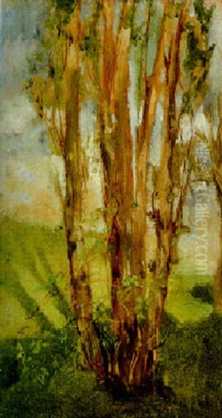 Les Arbres - view 1