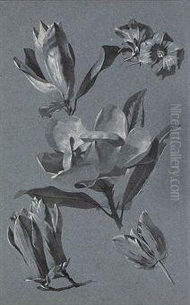 Studies Of Flowers, Including Roses, Tulips, Poppies And Othervarieties - view 1