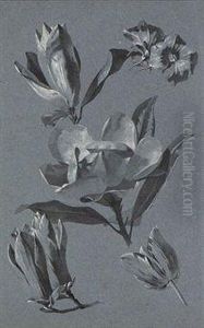 Studies Of Flowers, Including Roses, Tulips, Poppies And Othervarieties by Antoine Berjon