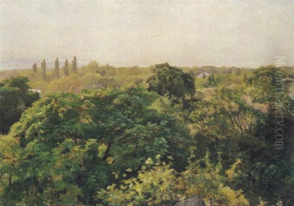 La Mitidja - view 1
