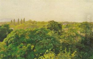 Paysage De La Mitidja