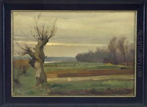 Landschaft Mit Kopfweide Im Vorfruhling