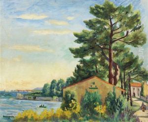 Saint Tropez Vu De "la Moune