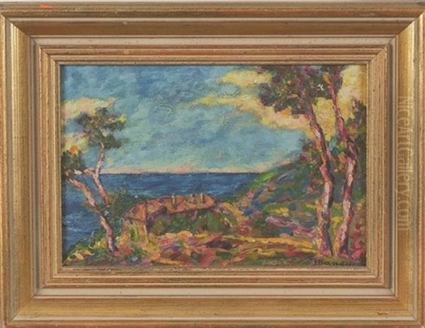 Sunset By The Coast Overlooking Trees And House - view 1