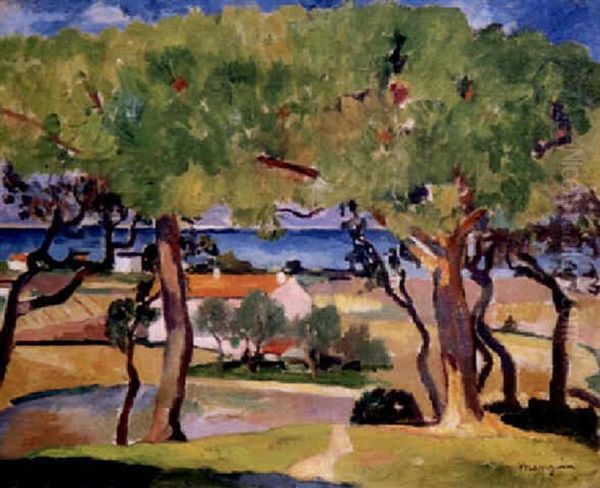 Chenes-lieges A Saint-tropez - view 1