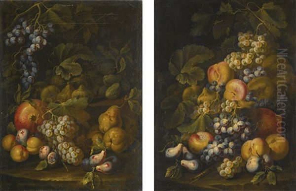 Still Lifes Of Grapes, Pears And Peaches On A Forest Floor - view 1