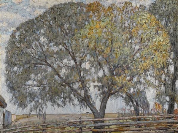 The Willow - view 1