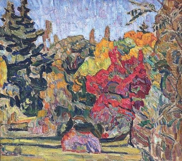 Fall Woods - view 1