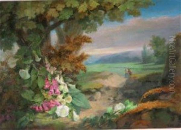 Paysage Anime - view 1