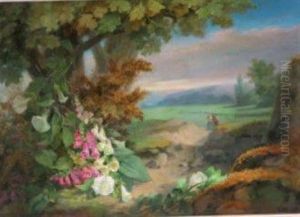Paysage Anime
