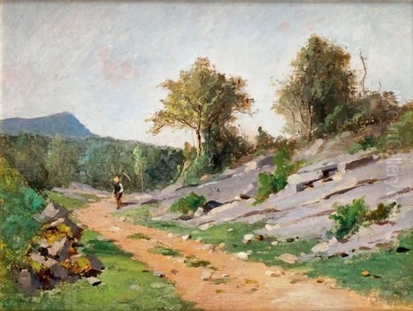 Faucheur Sur Le Chemin A Chetelan (isere) - view 1