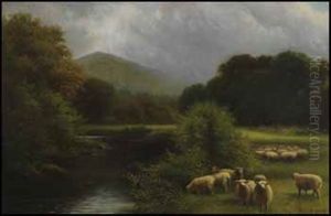 Sheep In A Pasture by Charles Macdonald Manly