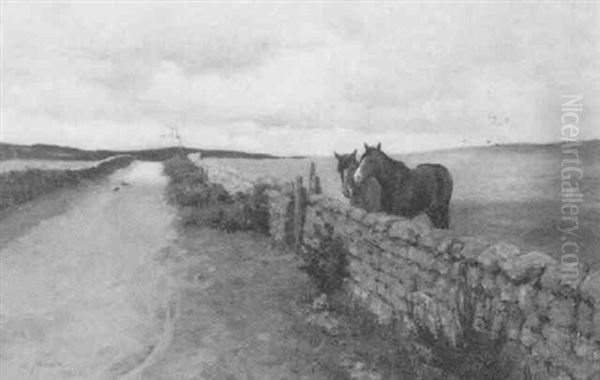 Horses At A Gate - view 1
