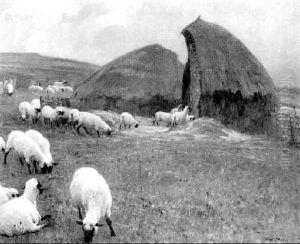 Sheepfold Sheepfold